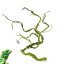 BioBranch Green Liana M do terária 115 cm