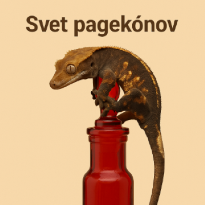 Články a tipy