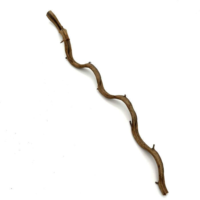BioThai Liána do terária 50 cm