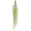 BioPlant Hanging Tillandsia 90 cm – závěsná umělá rostlina do terária