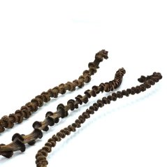 BioBanana Liana – banánová liana do terária 30–45 cm