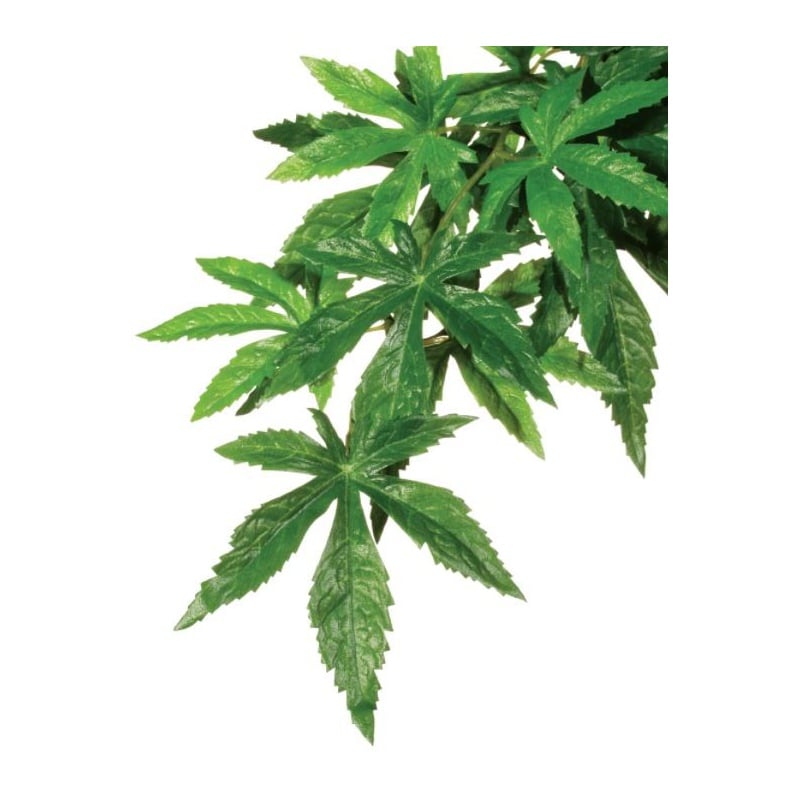 Exo Terra Abuliton - rastlina stredná 55 cm