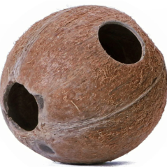 Přírodní kokosový úkryt do terária Terrario CocoLair