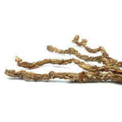BioCork Liana – korková liana do terária 50 cm