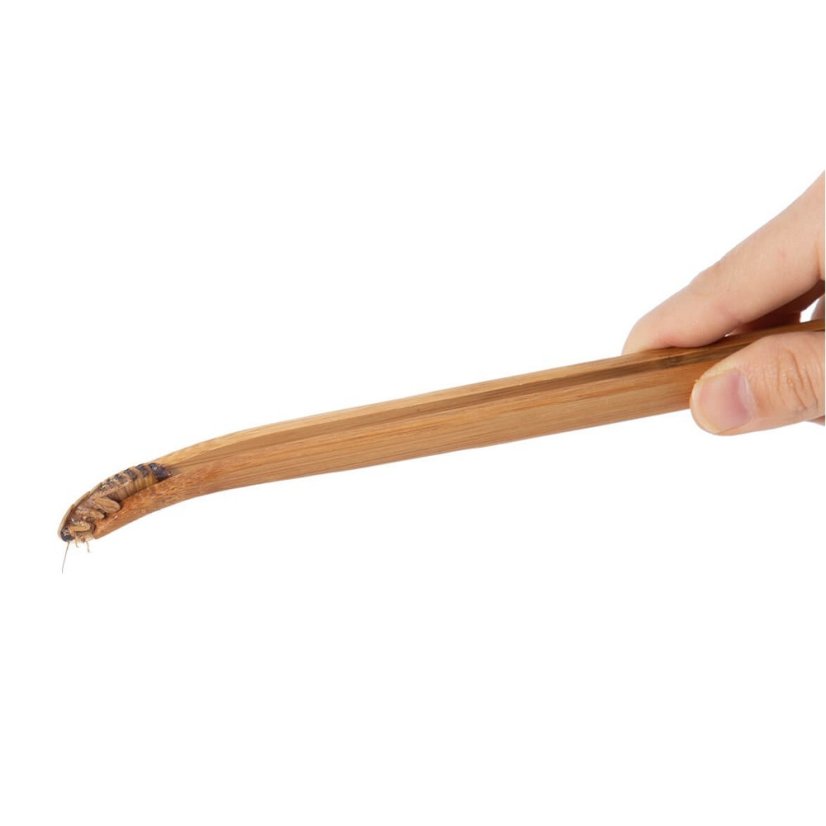 Pinzeta bambusová zahnutá 28 cm