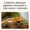 Z histórie: Objavenie pagekóna riasnatého a jeho návrat z „vyhynutia“