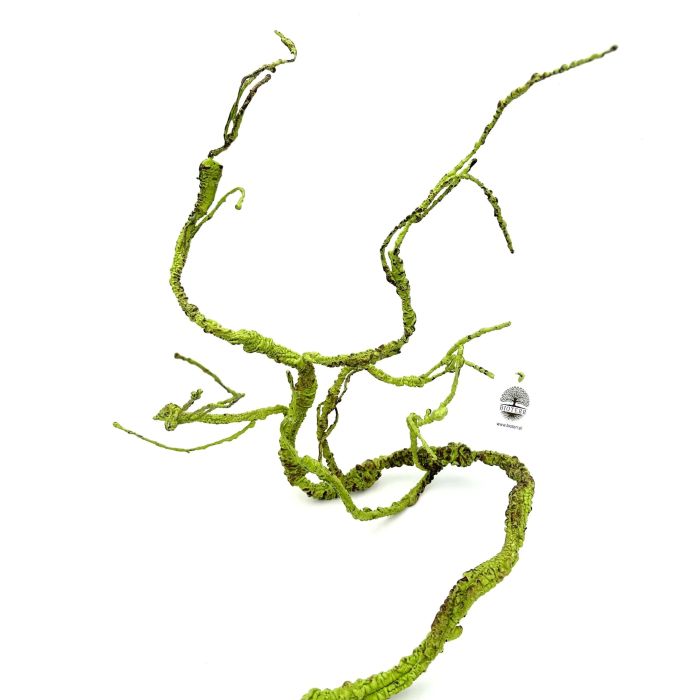 BioBranch Green Liana M do terária 115 cm