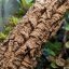 BioCork Branch M – korková vetva do terária 50 cm