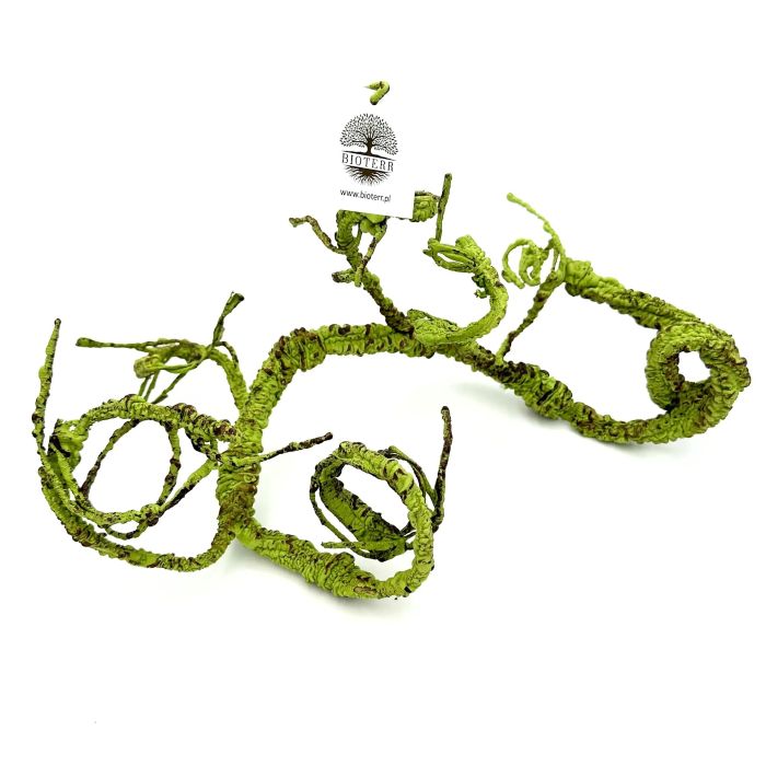 BioBranch Green Liana M do terária 115 cm