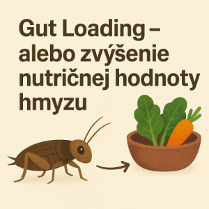 Gut Loading - alebo zvýšenie nutričnej hodnoty hmyzu