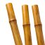 BioBamboo Stick – bambusová tyčka do terária 60 cm - Varianty: ⌀ 22–30 mm