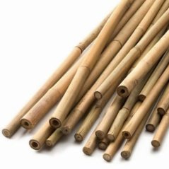 BioBamboo Stick – bambusová tyčka do terária 60 cm