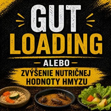 Gut Loading - alebo zvýšenie nutričnej hodnoty hmyzu