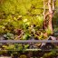 Přírodní mech 35×28 cm - Shadow Forest Moss
