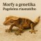 Morfy a genetika Pagekona řasnatého