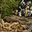 BioSet Tropical – tropický detailingový set do terária