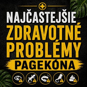 Nejčastější zdravotní problémy pagekona a jak je řešit