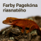 Farby Pagekóna riasnatého